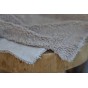 tissu teddy beige - un chat sur un fil